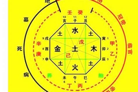 出生 天干地支|生辰八字算命、五行喜用神查询（免费测算）